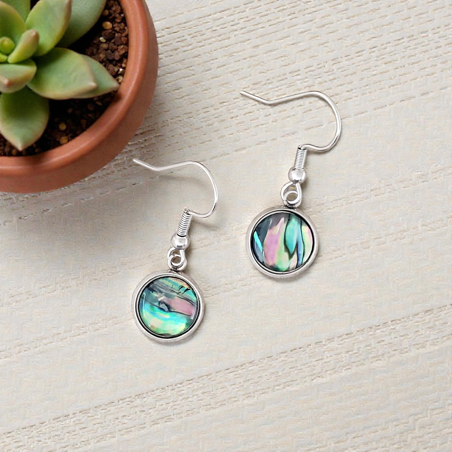 Paua Shell & Stainless Earrings