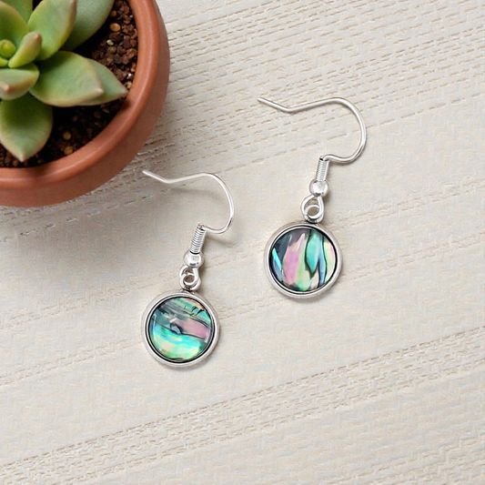 Paua Shell & Stainless Earrings