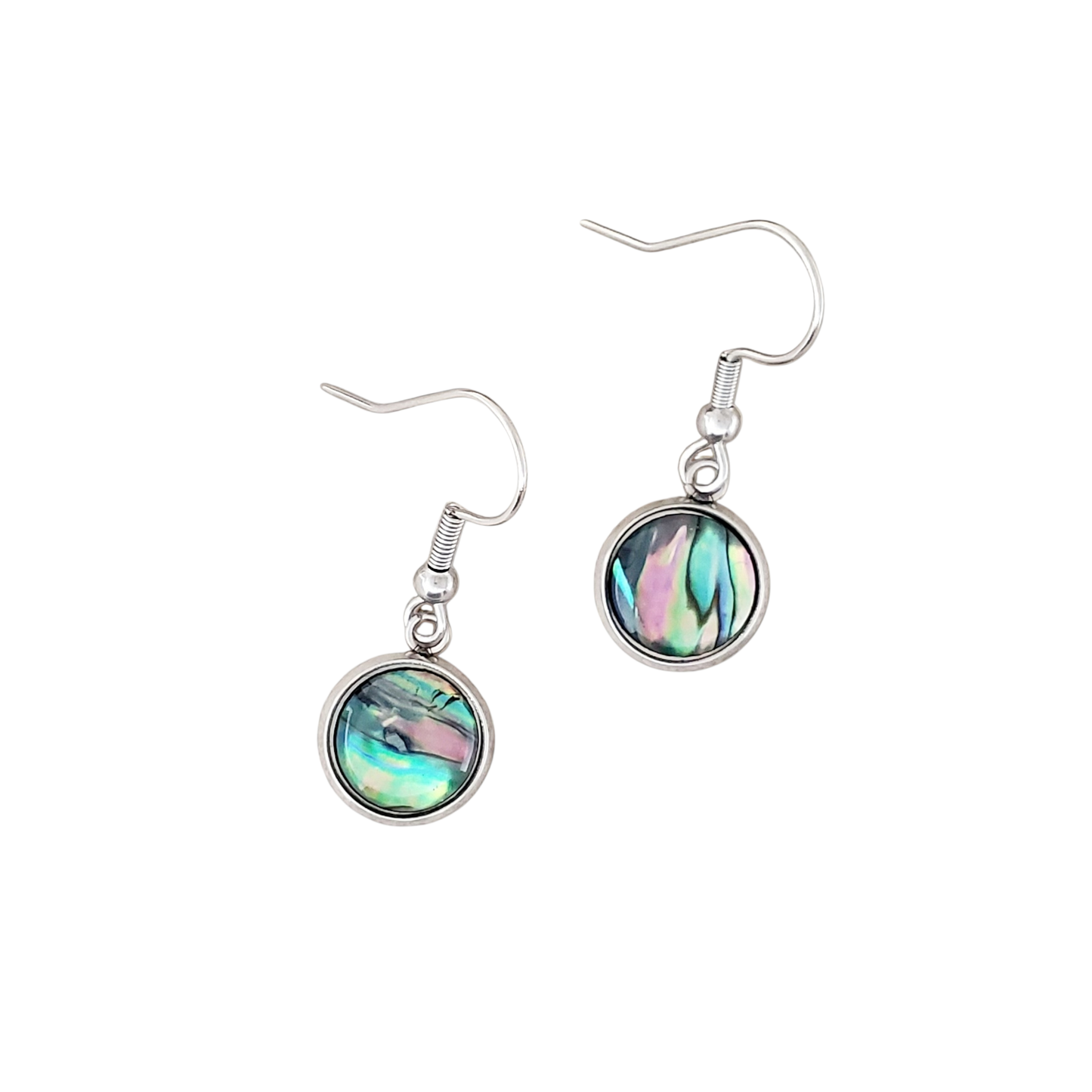 Paua Shell & Stainless Earrings